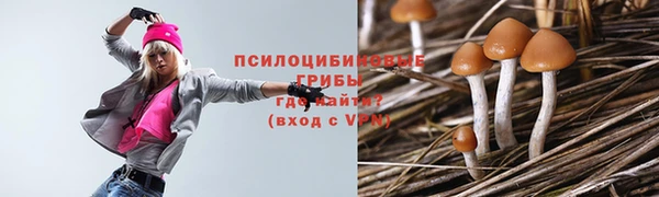 каннабис Алзамай