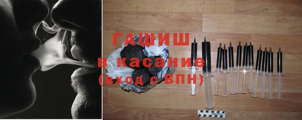 гашик Алексин