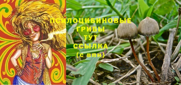 твердый Абинск