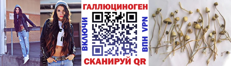 Псилоцибиновые грибы мицелий  площадка клад  Кадников 